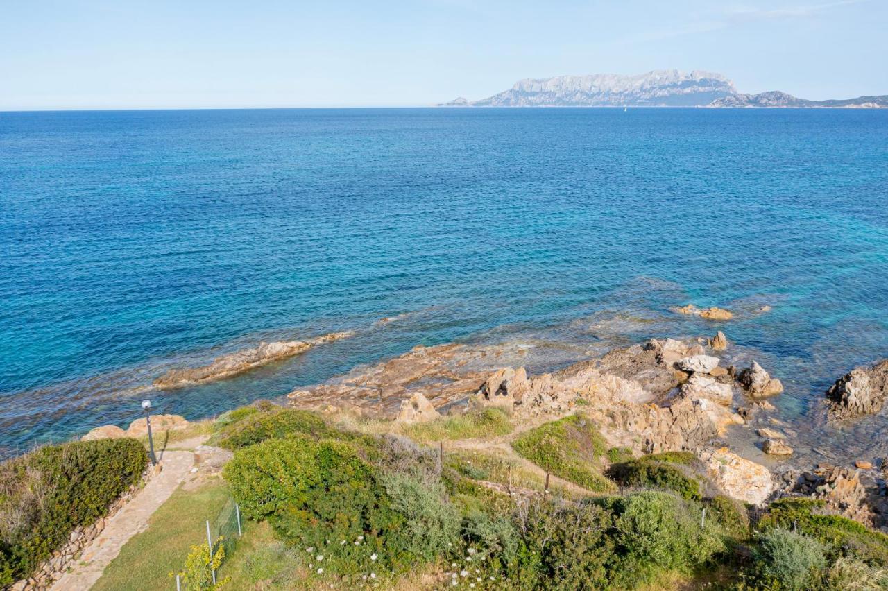 Vila Casa Athena Pittulongu Exteriér fotografie